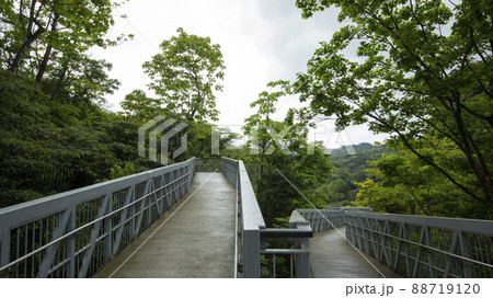 公園 パーク 園 88719120