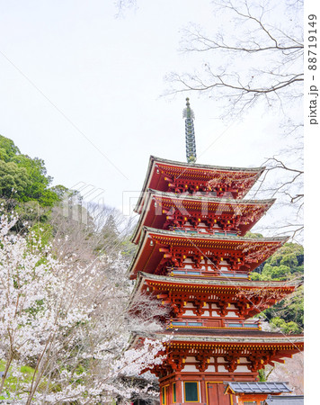 春の長谷寺　五重塔（奈良県） 88719149
