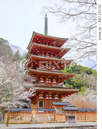 春の長谷寺（奈良県） 88719150