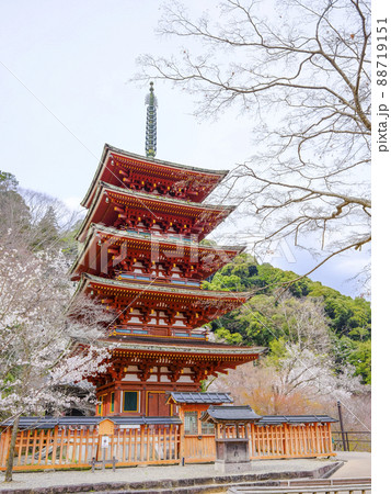 春の長谷寺　五重塔（奈良県） 88719151
