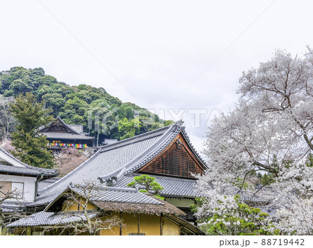 春の長谷寺(奈良県) 春の長谷寺(奈良県) 88719442