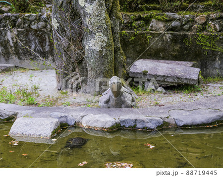 春の長谷寺　亀の池（奈良県） 88719445
