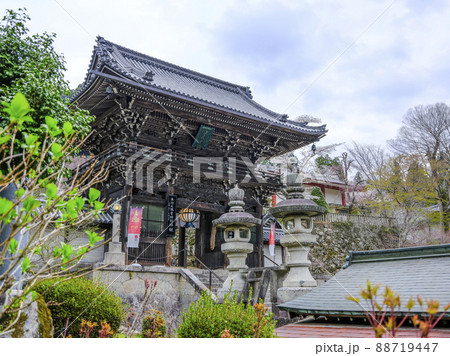 春の長谷寺　仁王門（奈良県） 88719447