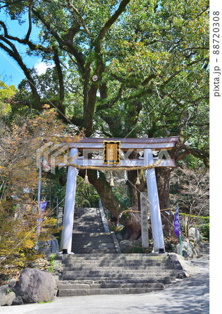 大阪の玉祖神社 88720308