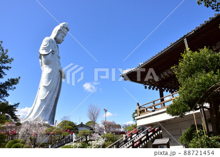 群馬県高崎市 高崎白衣大観音と満開桜と慈眼院本堂 群馬県高崎市 高崎白衣大観音と満開桜と慈眼院本堂 88721454