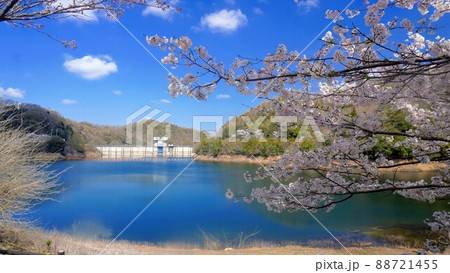 前山ダム公園の春の風景【香川県さぬき市前山】 前山ダム公園の春の風景【香川県さぬき市前山】 88721455