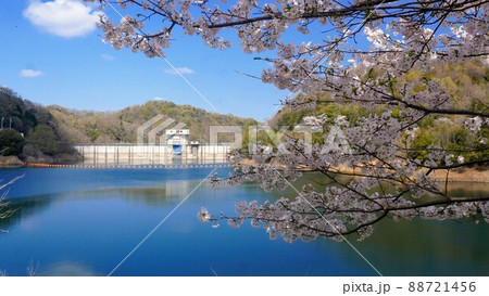 前山ダム公園の春の風景【香川県さぬき市前山】 前山ダム公園の春の風景【香川県さぬき市前山】 88721456