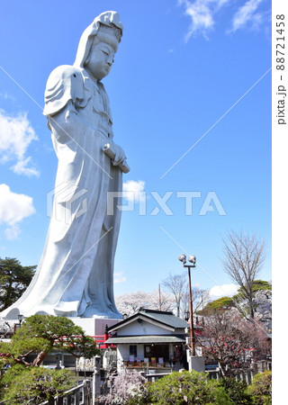 群馬県高崎市 高崎白衣大観音と満開桜 群馬県高崎市 高崎白衣大観音と満開桜 88721458