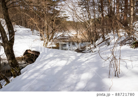 裏磐梯五色沼冬景色 裏磐梯五色沼冬景色 88721780
