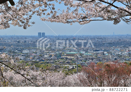 大阪の玉祖神社 大阪の玉祖神社 88722271