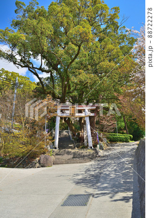 大阪の玉祖神社 大阪の玉祖神社 88722278