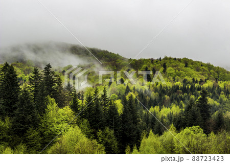 a carpathian landscape at the morning a carpathian landscape at the morning 88723423