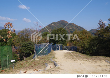 可部ヤママユ蛾の飼育施設の景色 可部ヤママユ蛾の飼育施設の景色 88724166