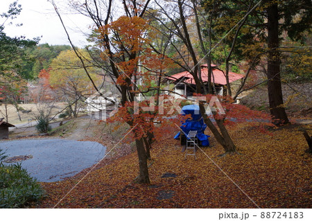 青少年野外活動センターの秋の景色 88724183