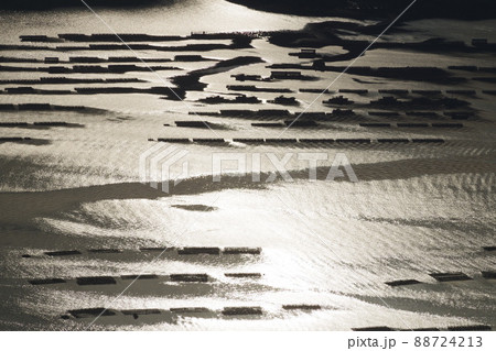 経小屋山から眺めた牡蠣筏の景色 経小屋山から眺めた牡蠣筏の景色 88724213