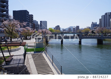 桜咲く広島猿猴川の景色 88724227
