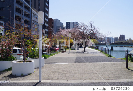 桜咲く猿猴川川土手公園の景色 88724230