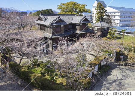 春の松阪市立歴史民俗資料館 松坂城跡(三重県松阪市殿町) 春の松阪市立歴史民俗資料館 松坂城跡(三重県松阪市殿町) 88724601