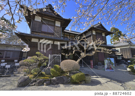 春の松阪市立歴史民俗資料館 松坂城跡(三重県松阪市殿町) 春の松阪市立歴史民俗資料館 松坂城跡(三重県松阪市殿町) 88724602