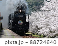 SLやまぐち号　と　桜 88724640