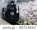 SLやまぐち号と満開の桜　2 88724642