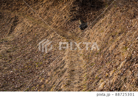 細い山道 辰野町 細い山道 辰野町 88725301