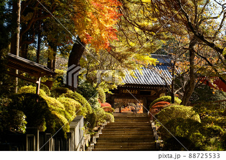 牛伏寺山門の紅葉 牛伏寺山門の紅葉 88725533