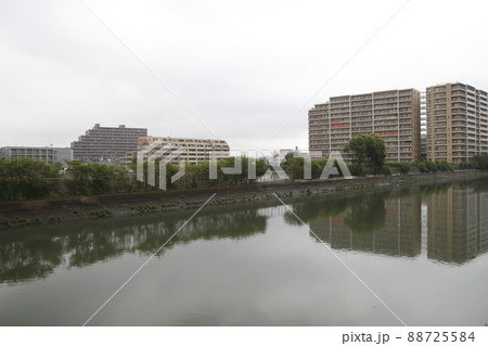 菖蒲川(川岸橋より下流を望む) 菖蒲川(川岸橋より下流を望む) 88725584