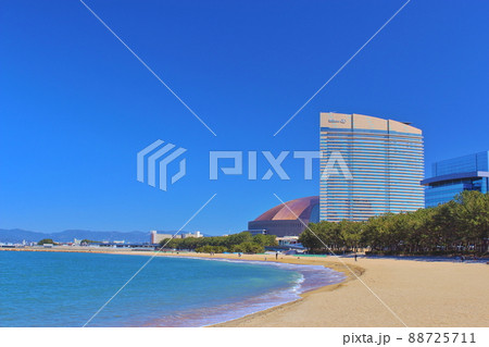 【福岡市】　シーサイドももち海浜公園 88725711