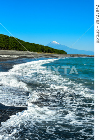 三保の松原から眺める富士山の絶景 三保の松原から眺める富士山の絶景 88725942