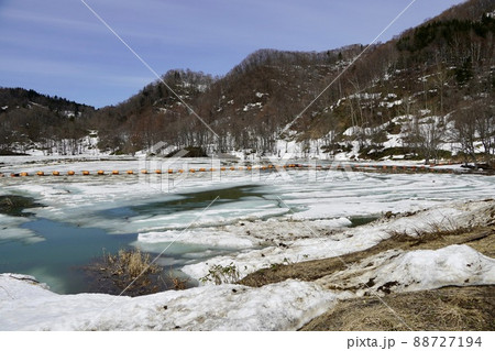 尾白利加ダムの春 88727194