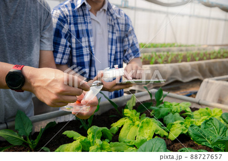 Agronomist and farmer collect soil samples to analyze and assess soil quality in greenhouse. 88727657