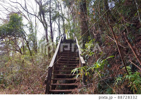 子ノ神の滝　ジオパーク秩父　ジオサイト　秩父市指定名勝 88728332