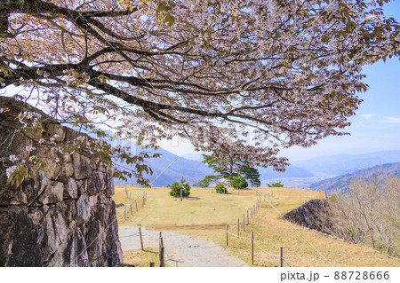 桜満開に咲く竹田城跡 88728666