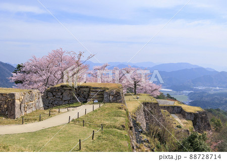 桜満開に咲く竹田城跡 88728714