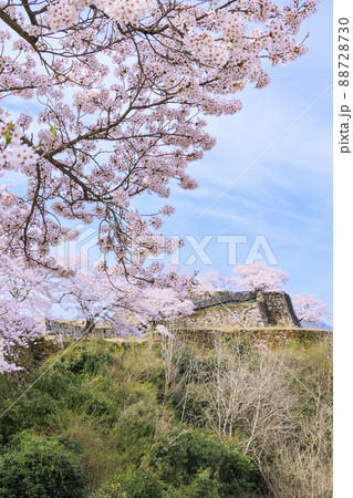 桜満開に咲く竹田城跡 桜満開に咲く竹田城跡 88728730