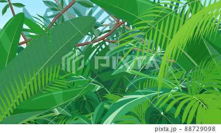 トロピカルな植物の風景 ジャングルの背景イラスト 16 9のイラスト素材