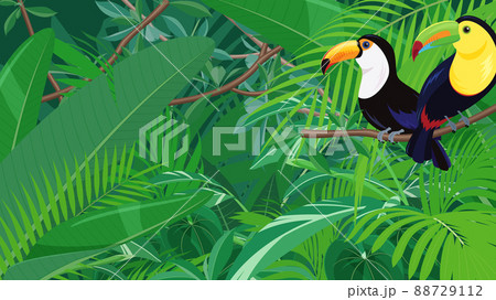トロピカルな鳥と植物の風景_ジャングルの背景イラスト_16:9 88729112