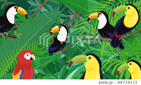 トロピカルな鳥と植物の風景 ジャングルの背景イラスト 16 9のイラスト素材