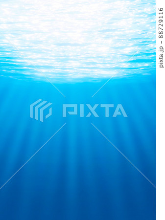 海中 88729116