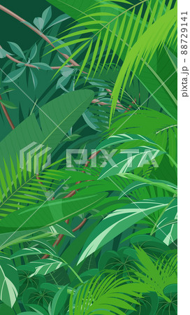 トロピカルな植物の風景 ジャングルの背景イラスト 16 9 縦のイラスト素材