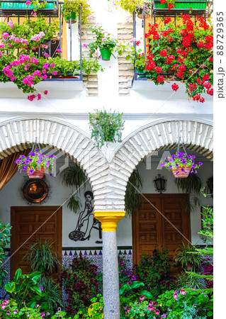 コルドバのパティオ祭り スペイン la fiesta de los patios, Córdoba コルドバのパティオ祭り スペイン la fiesta de los patios, Córdoba 88729365