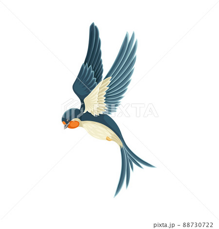 Swallow or Martin Passerine Bird with Long Tail and Pointed Wings Flying or Gliding Vector Illustration 88730722