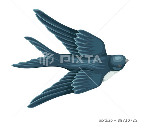 Swallow or Martin Passerine Bird with Long Tail and Pointed Wings Flying or Gliding Vector Illustration 88730725