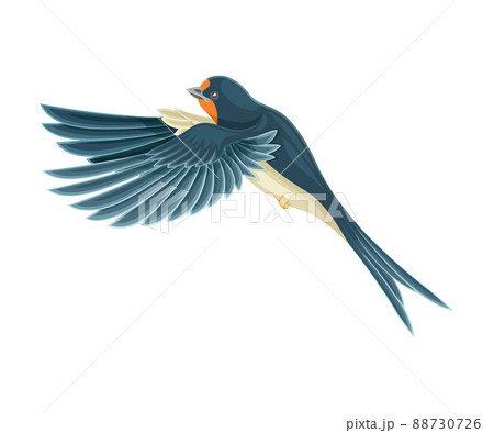 Swallow or Martin Passerine Bird with Long Tail and Pointed Wings Flying or Gliding Vector Illustration 88730726