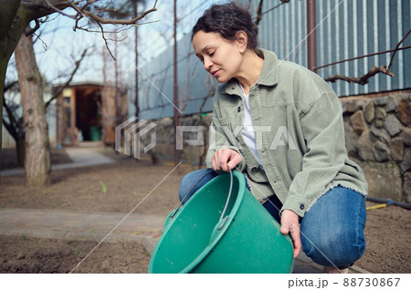 Middle aged woman gardener watering plants from bucket in the garden of her country house. Horticulture, agriculture, Earth Day, home gardening concept Middle aged woman gardener watering plants from bucket in the garden of her country house. Horticulture, agriculture, Earth Day, home gardening concept 88730867