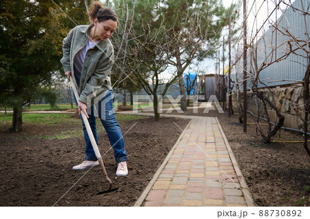 Woman gardener loosens the ground with a rake, prepares the soil for sowing. Sowing to fight the global crisis and post-war hunger. Woman gardener loosens the ground with a rake, prepares the soil for sowing. Sowing to fight the global crisis and post-war hunger. 88730892