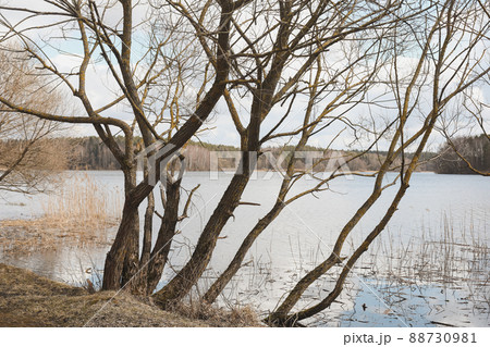 Picturesque view of river or lake in spring. Blue water surface with small waves under blue sky 88730981