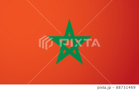 Flag of Morocco. Vector drawing icon Flag of Morocco. Vector drawing icon 88731469