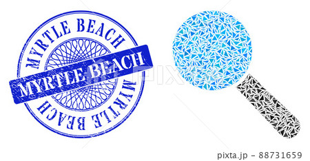Scratched Myrtle Beach Badge and Triangle Search Tool Mosaic 88731659